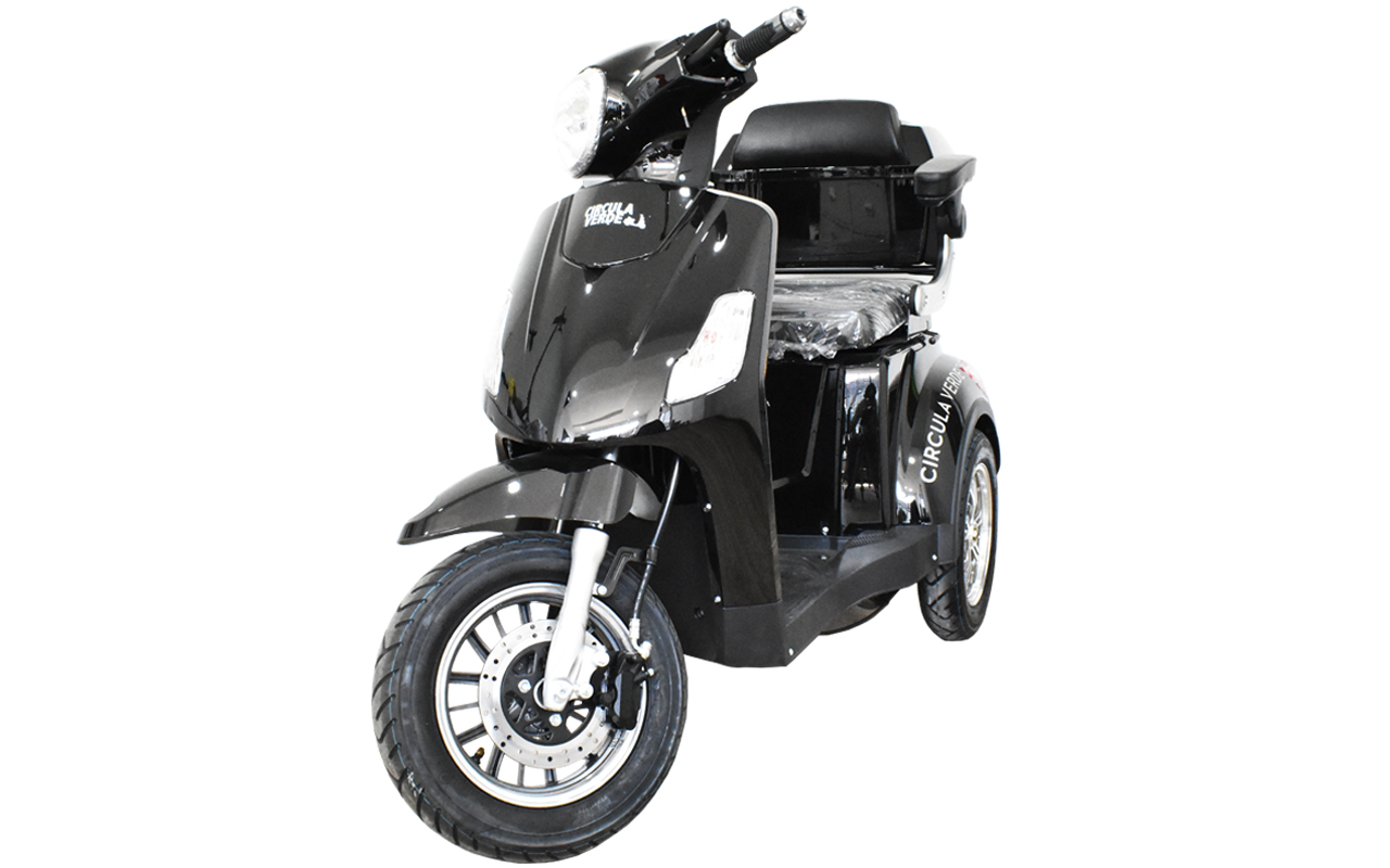 Triciclo Electrico 600w Modelo TJ-XDD