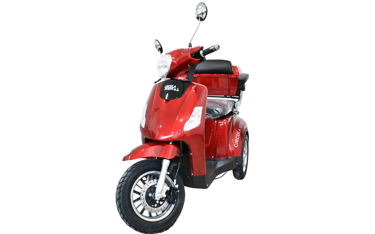 Triciclo Electrico 600w Modelo TJ-XDD